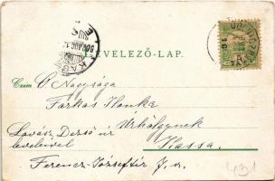 1902 Thurzófüred, Kúpele Turzov (Gölnicbánya, Gelnica); Igazgatósági épület. Feitzinger Ede No. 734....