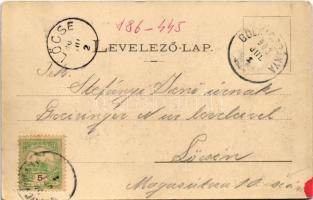 1902 Thurzófüred, Kúpele Turzov (Gölnicbánya, Gelnica); Bányász villa. Wlaszlovits G. kiadása / vill...