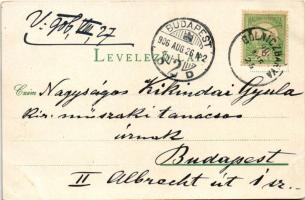 1906 Thurzófüred, Kúpele Turzov (Gölnicbánya, Gelnica); Bányász villa. Wlaszlovits Gusztáv kiadása /...