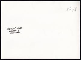 cca 1930-1940 Szendrő István (1908-2000): Lányok őrölt fűszerpaprikát csomagolnak, pecséttel jelzett...