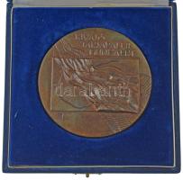 ~1970. "Kiváló társadalmi munkáért / Hazafias Népfront Országos Tanácsa" kétoldalas, öntött bronz plakett dísztokban. Szign.:B.I. (96mm) T:UNC