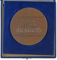~1970. "Kiváló társadalmi munkáért / Hazafias Népfront Országos Tanácsa" kétoldalas, öntöt...