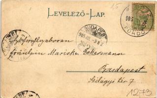 1905 Stószfürdő, Stoósz-fürdő, Kúpele Stós; Hungária villa. Wlaszlovits Gusztáv kiadása / villa, spa...