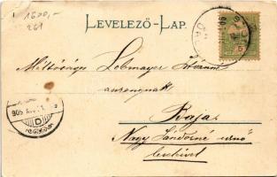 1905 Stószfürdő, Stoósz-fürdő, Kúpele Stós; Villa csoport. Wlaszlovits Gusztáv kiadása / villas, spa...