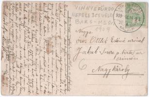 1909 Vihnye, Vihnyefürdő, Kúpele Vyhne; kilátás a Nefelejts völgy felé. Joerges kiadása 1909. / gene...