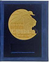 2018. "World Championship Budapest" aranyozott fém birkózó emlékplakett eredeti tokjában (~100x93mm) T:UNC,AU