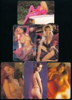 6 db erotikus naptár