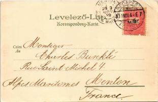 1899 (Vorläufer) Liverpool. Kunstanstalt Kosmos 31. litho (EK)