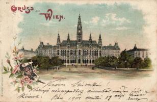 Vienna Town hall litho