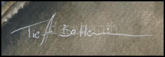 Tieff Bettina (-): Arnold Schwarzenegger portréja. Akvarell, papír, jelzett, 35x24,5 cm