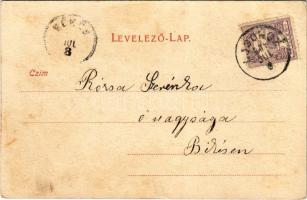 Tátraháza, Mlynceky (Magas Tátra, Vysoké Tatry); Budapest Villa. Wiesner J.F. kiadása / villa (fl)