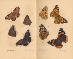 Schnack, Friedrich - Hübner, Jacob: Das kleine Schmetterlingsbuch. Insel-Bücherei Nr. 213. Leipzig, ...