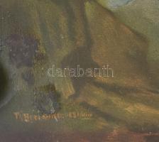 Theodor Breitwieser (1847-1930) festménye után: Komárom felszabadítása a szabadságharc idején, 1849-...