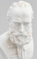 Portheim & Sons Széchenyi István antik porcelán büszt, fehér és biszkvit, jelzett (P&S), apr...