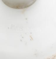 Portheim & Sons Széchenyi István antik porcelán büszt, fehér és biszkvit, jelzett (P&S), apr...