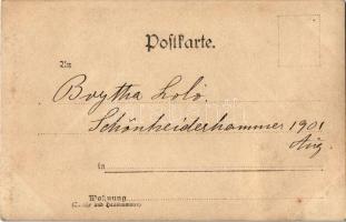 1901 Schönheiderhammer, Boytha Lolo hölgy teniszütővel és labdákkal / lady with tennis racket and ba...