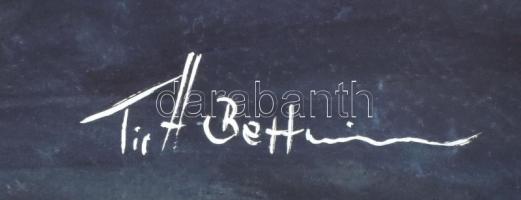 Tieff Bettina (-): Pókember. Akvarell, papír, jelzett, 50x70 cm