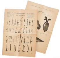 cca 1900 Magyar Mezőgazdák Szövetkezetének értesítője képes kiadvány, szerszámok képével 4 p