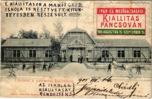 1905 Pancsova, Pancevo; Ipar és Mezőgazdasági Kiállítás, Mezőgazdasági csarnok. Pancsovai Népkonyha egylet kiadása / Exhibition, Agricultural hall (Rb)