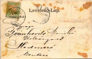 1905 Pancsova, Pancevo; Ipar és Mezőgazdasági Kiállítás, Mezőgazdasági csarnok. Pancsovai Népkonyha ...