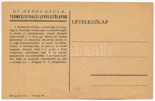 Almafa. Dr. Méhes Gyula "Természetrajzi Levelezőlapok" / Pirus Malus (EK)