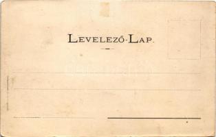 Zboró, Zborov; Rákóczi féle várkastély. Divald Adolf 151. / castle (EB)