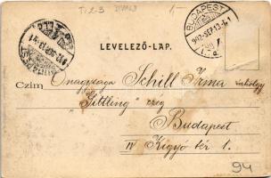 1902 Gödöllő, Királyi kastély. Divald Károly 225. sz. (Rb)