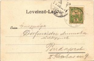 1903 Hatvan, kastély. Hoffmann M. L. kiadása (EK)