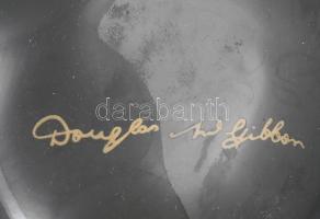 Douglas Gibbon kerámia váza, matricás, kopásnyomokkal, 20×11 cm