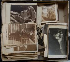 Főleg régi szinészképek gyűjteménye, 460 db külföldi és 80 magyar szinészlap, az utóbbinak fele háború utáni
