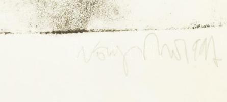 König (Kőnig) Róbert (1951-2014): Patience. Versenyló Litográfia, papír, jelzett, sorszámozott próba...