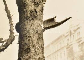 1956 Budapest, a forradalom alatt készült felvételek: szovjet harckocsik, szétlőtt épületek, rádió é...