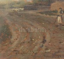 Tölgyessy Artúr (1853-1920): Tanyavilág. Olaj, fatábla, jelezve balra lent. Üvegezett fakeretben. 15...