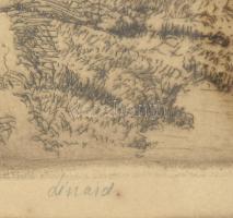 Lénárd Lévy Róbert (1879-1936): Vízparti táj. Rézkarc, papír. Jelzett. 15,5x11,5 cm. Üvegezett faker...