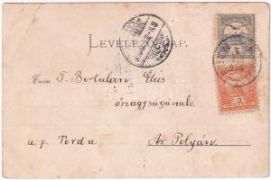 1900 Nagyszeben, Hermannstadt, Sibiu; Erlenpark mit Springbrunnen, K.u.K. Garnison-Spital / Osztrák-...