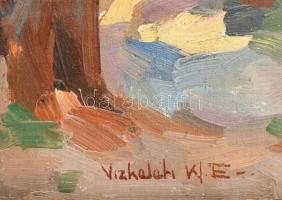 Vízkeleti Witmann Eta (1882-1962): Napfényes kert. Olaj, vászon, jelezve jobbra lent, 20,5x14 cm. De...