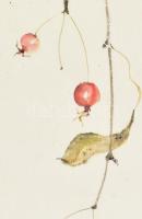 Richter Ilona (1928-): Gyümölcsök. Lavírozott tus, papír, jelzett, paszpartuban. Lap teteje kissé fo...