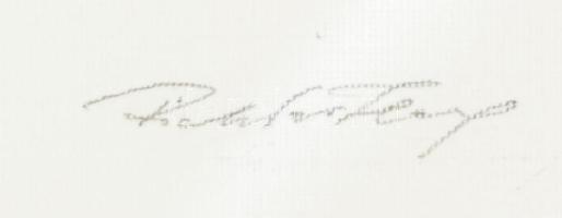 Richter Ilona (1928-): Madárka. Lavírozott tus, papír, jelzett, paszpartuban. 22x10,5 cm