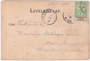 Arad, Arad-Csanádi Egyesült Vasutak palotája / palace of the Arad-Cenad United Railway Company. (fa)