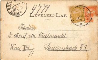 Bártfa, Bártfafürdő, Bardejovské Kúpele, Bardiov, Bardejov; Főforrás tér. Divald Adolf 29. / spa, sp...