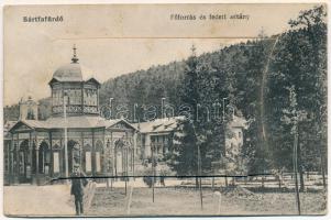 1917 Bártfa, Bártfafürdő, Bardejovské Kúpele, Bardiov, Bardejov; Főforrás és fedett sétány. Horovitz kiadása. leporellólap 10 képpel / spa, spring source, promenade. leporellocard with 10 pictures (fl)