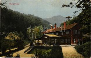 1914 Thurzófüred, Kupele Turzo (Gölnicbánya, Gelnica); fürdő étterem. Feitzinger Ede No. 733. / spa restaurant (EK)