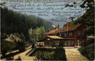 1914 Thurzófüred, Kupele Turzo (Gölnicbánya, Gelnica); fürdő étterem. Feitzinger Ede No. 733. / spa restaurant (EK)