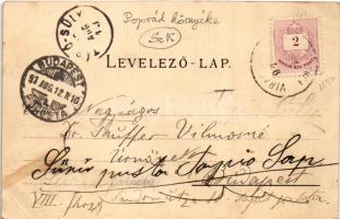 1897 (Vorläufer!) Tátra, Tatry; Rózsavölgy (Virágvölgy), Blumental, Kvetnica; Központi Kárpátok, Étt...