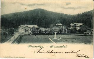 1900 Tátra, Tatry; Virágvölgy (Rózsavölgy), Blumental, Kvetnica; látkép. Schmidt Edgar kiadása / general view (fl)
