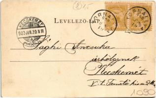 1900 Tátra, Tatry; Virágvölgy (Rózsavölgy), Blumental, Kvetnica; látkép. Schmidt Edgar kiadása / gen...