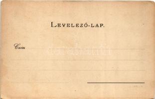 Vihnye, Vihnyefürdő, Kúpele Vyhne; Hell ház / villa, spa (kopott sarkak / worn corners)