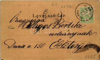 1903 Vihnye, Vihnyefürdő, Kúpele Vyhne; Gecsányi villa / spa, villa (EM)