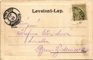 1903 Trencsénteplic, Trencianske Teplice; Baracska. Wertheim Zsigmond kiadása / general view (EK)