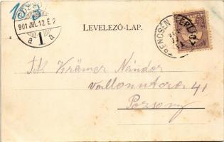 1901 Trencsénteplic, Trencianske Teplice; Baaner-Gasse / utca, villa. Szold Henrik kiadása / spa, st...